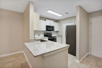 Upgraded apartment kitchen 